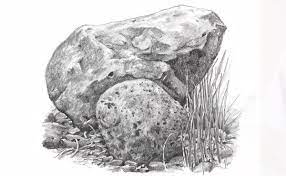 6 Ways To Spruce Up Your Landscape Pencil Drawings Landscape Pencil Drawings Drawing Rocks Realistic Drawings