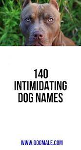 Well, maybe not need, exactly. Pin On Awwwwwww Pets