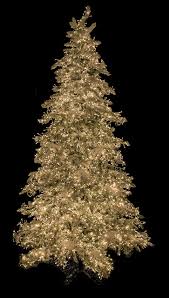 12 ft skeleton 12/2 romex 6 ft 6.5 ft artificial christmas trees classic artificial christmas trees. Earthflora Slim Size Trees With Or Without Lights Earthflora S 7 5 Ft 9 Ft And 12 Ft Snowy Flocked Polaris Slim Pine Tree With 3mm Multi Functional Led Lights