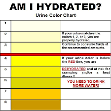 the meaning of urine color health nutrition natural