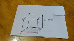 We did not find results for: Cara Menghitung Panjang Rusuk Kubus Jika Diketahui Luas Permukaannya Youtube