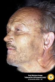 Looking for any information