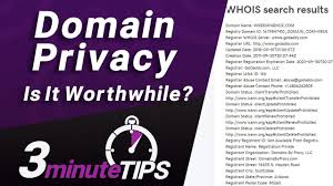 Domain Privacy Is It Worth The Cost Don T Leave Your Info Open To The Public Youtube