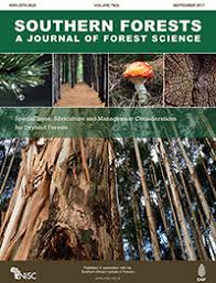 Image result for Acacia kosiensis