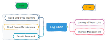 functional org chart definition pons and cons org charting