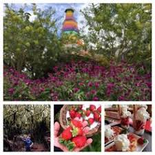 Ada yang bertanya, kat mana tempat menarik di cameron highland waktu malam? 24 Cameron Highlands Ideas Cameron Highlands Cameron Girl Photography