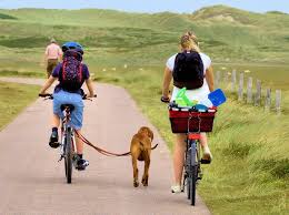 Fahrradfahren Mit Dem Hund Die Richtige Ausstattung