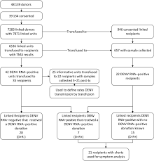 Flow Chart Defining Blood Donor And Recipient Dengue Virus