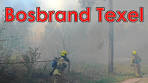 Bosbrand Texel verwoest 500m² natuur op de Ruijslaan in de ... - YouTube