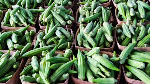 Okra belongs to the same plant family as hibiscus and cotton. 7 Nutrition And Health Benefits Of Okra