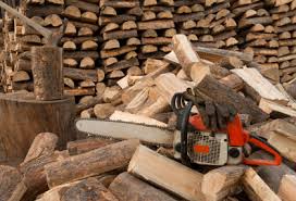 Who, what, when, where, and wood? Firewood Cut Split Seasoned Firewood With Free Delivery And Free Stacking For Sale Mlps Mn Minneapolis St Paul
