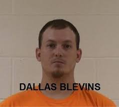 2 Yancey County men accused of strangling pet dog with belt