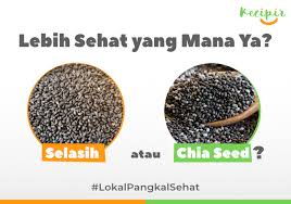 Biji selasih mengandung serat yang membuat perut anda kenyang dan tidak merasa lapar dalam jangka waktu tertentu. Selasih Atau Chia Seed Lebih Sehat Yang Mana Ya Blog Kecipir