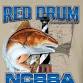 NCBBA Red Drum Tournament event image