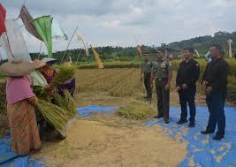 We did not find results for: Danrem 061 Sk Siaturahmi Dengan Kelompok Tani Dewasa Ktd Lemah Duhur Kota Bogor Infodesaku