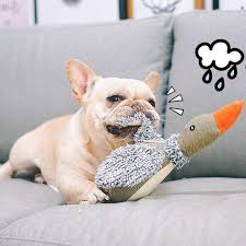 Thanks to their teeth, dogs are able to discover the world! Duck Sounding Toy Plush Clean Teeth Bite Throw French Bulldog Dog Poodle Corgi Golden Retriever A Big Duck Dog Toy Duck Dog Duckteeth Dog Aliexpress