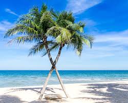 If you have your own one, just create an account on the website and upload a picture. Hd Wallpaper Beach Illustration During Day Time Atlantic Ocean Background Wallpaper Flare