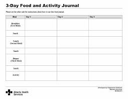 Daily Food Diary Sada Margarethaydon Com