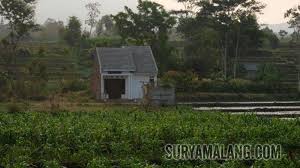 Jemput baca perkongsian kami seperti di bawah. Bpn Kota Batu Kebut Pemetaan Tanah Surya Malang