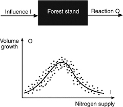 1 haushalt darf sich mit maximal 1 einzelperson (angehörige oder angehöriger bzw. Modelling Mixed Species Forest Stands Springerlink