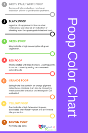 79 Abiding Poop Chart What Does It Mean