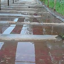 Pada umumnya, dikalangan masyarakat, cacing sutra juga disebut sebagai cacing rambut. Budidaya Cacing Sutra Photos Facebook