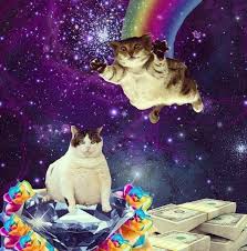 We did not find results for: Pin On Space Cats Gatos Del Espacio