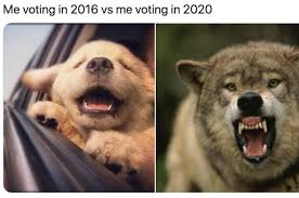 And today, as people went to the polls once again, one meme resurfaced on twitter over and over again: Meme Compares How People Feel Voting In 2020 Vs 2016