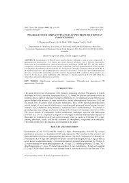 Image result for Helichrysum paronychioides