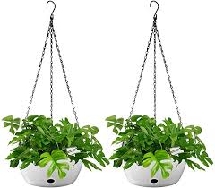 Maybe you would like to learn more about one of these? Tvird Hanging Planters Indoor Outdoor Self Watering Hanging Flower Pot With Drainer And Chain White Hanging Plant Holder For Home Balcony Garden Bedroom Decor 2 Pack 11 Inch Large Plant Hanger Gardening Alpakahof Schreiber