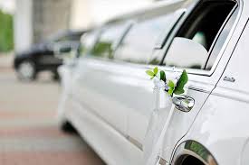 We did not find results for: Palm Springs Limousine Services