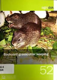 Backyard Grasscutter Keeping Echocommunity Org