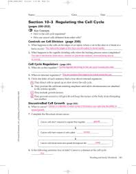 Worksheet answer key typically students practice by working through lots of sample problems and checking their answers people interested in cell cycle worksheet practice cell cycle questions: Study Documents Essay Examples Research Papers Course Notes And Other Studyres Com Studyres