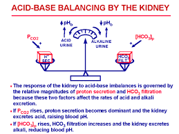 All About Dietary Acids And Bases