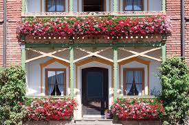 We are going to get sheetrock ceiling lid on wed. Testsieger Der Blumenkasten Aqua Green Plus Modelvita Com