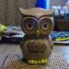 Uctci owl pottery pitcher vintage mid century japan original tap on bottom coconutroad 5 out of 5 stars (1,015) $ 21.00. Https Encrypted Tbn0 Gstatic Com Images Q Tbn And9gct5pr2owj05l 3lrxqhmxanegj6hrzzd7438q Ejj0e6bg7xqkm Usqp Cau