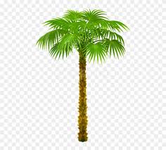 You can download the transparent tree cliparts in it's original format by loading the clipart and clickign the downlaod button. Free Png Download Palm Treepicture Png Images Background California Palm Tree Clip Art Transparent Png 480x678 2269216 Pngfind