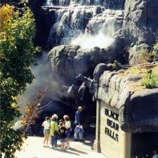 As one of the premiere zoological experiences in the southeast, we're committed to educating and inspiring. Animals Zoo Knoxville