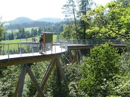 Der längste baumwipfelpfad der welt. Baumwipfelpfad Picture Of Baumwipfelpfad Neckertal Mogelsberg Tripadvisor
