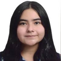 70+ "Diana Falla" profiles