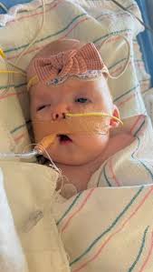 This is Lucy Jane!, •, Go fund me link if you would like to help us pay for  her medical bills for ICU stays and surgeries-,  https://www.gofundme.com/f/help-baby-lucy-kramer-through-surgeries, “In  this ...