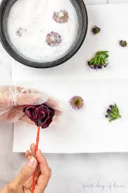 Here are eight methods for preserving those precious flowers. How To Use Silica Gel For Drying Flowers Complete Guide
