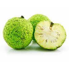 Check spelling or type a new query. The Osage Orange Tree Mother Earth News