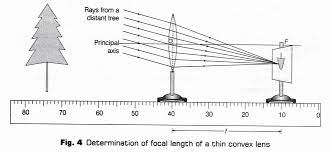 The focal length of the convex mirror is positive, whereas that of the concave mirror is negative. Cbse Class 10 Science Lab Manual Focal Length Of Concave Mirror And Convex Lens A Plus Topper