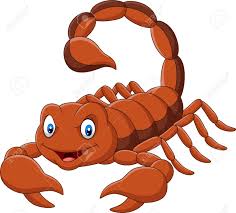 Vector Illustration Of Cartoon Scorpion On White Background Royalty Free Cliparts Vectors And Stock Illustration Image 123719716 100+ vectors, stock photos & psd files. vector illustration of cartoon scorpion on white background
