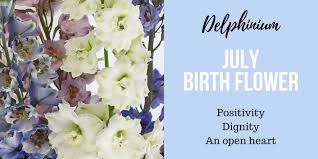 Discover Your Birth Flower Interflora