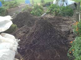 Composting occurs when bacteria break down the just like a rotten egg smell, a sweet odor can indicate aerobic decomposition. How To Hot Compost X Gardens Of Delight