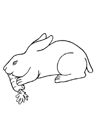 Feed On Carrot Drawing Of Rabbit In 2020 Rabbit Drawing Bunny Drawing Drawing For Kids