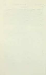 Image result for Bonamia mossambicensis