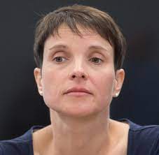 Von wem hat die afd dubiose spenden bekommen? Qt5mxxtchhx Nm